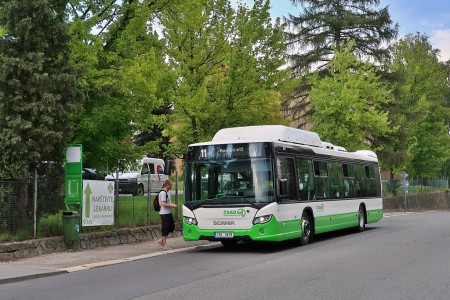 Frýdek, Lékárna, červenec 2018
